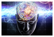 Neuroforschung stellt tausende Studien in Frage