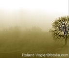 fotolia©Roland Vogler